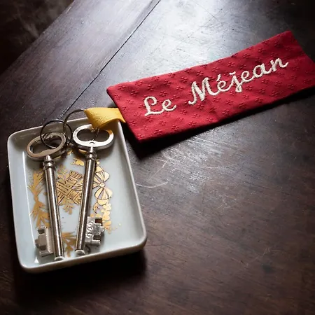 Couette-café Château Le Méjean Pessac-sur-Dordogne