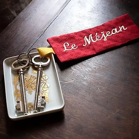 Chateau Le Mejean Bed & Breakfast